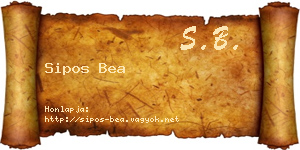 Sipos Bea névjegykártya